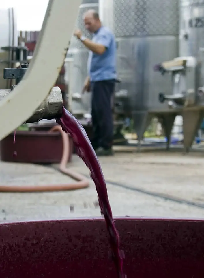 Degustazione vini - Cantina familiare