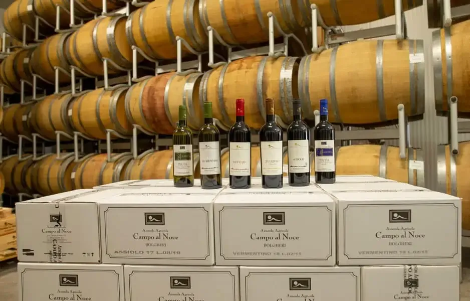 Agriturismo la Rondine Degustazione vini doc bolgheri