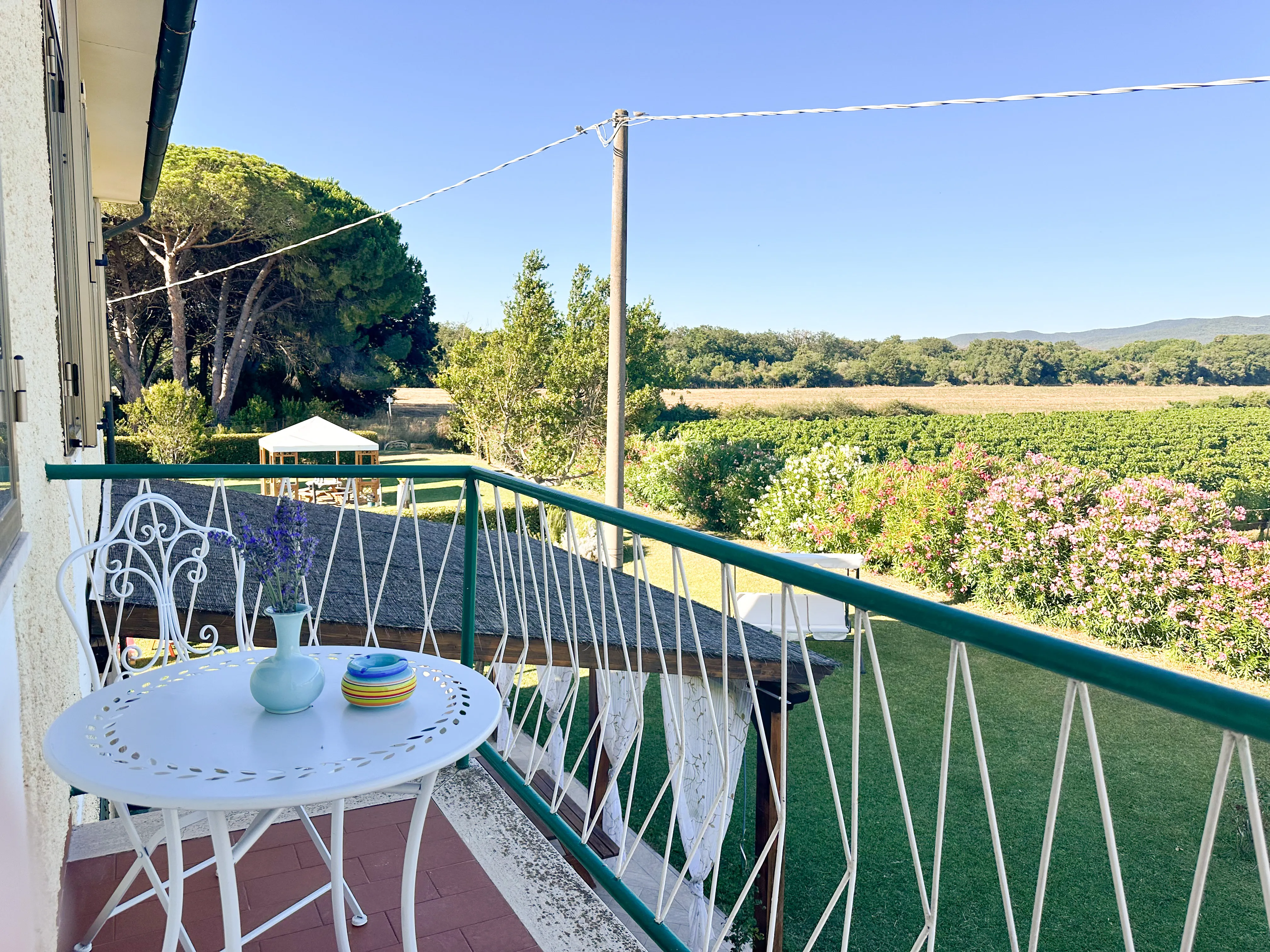 Photo by Martin Sanchez