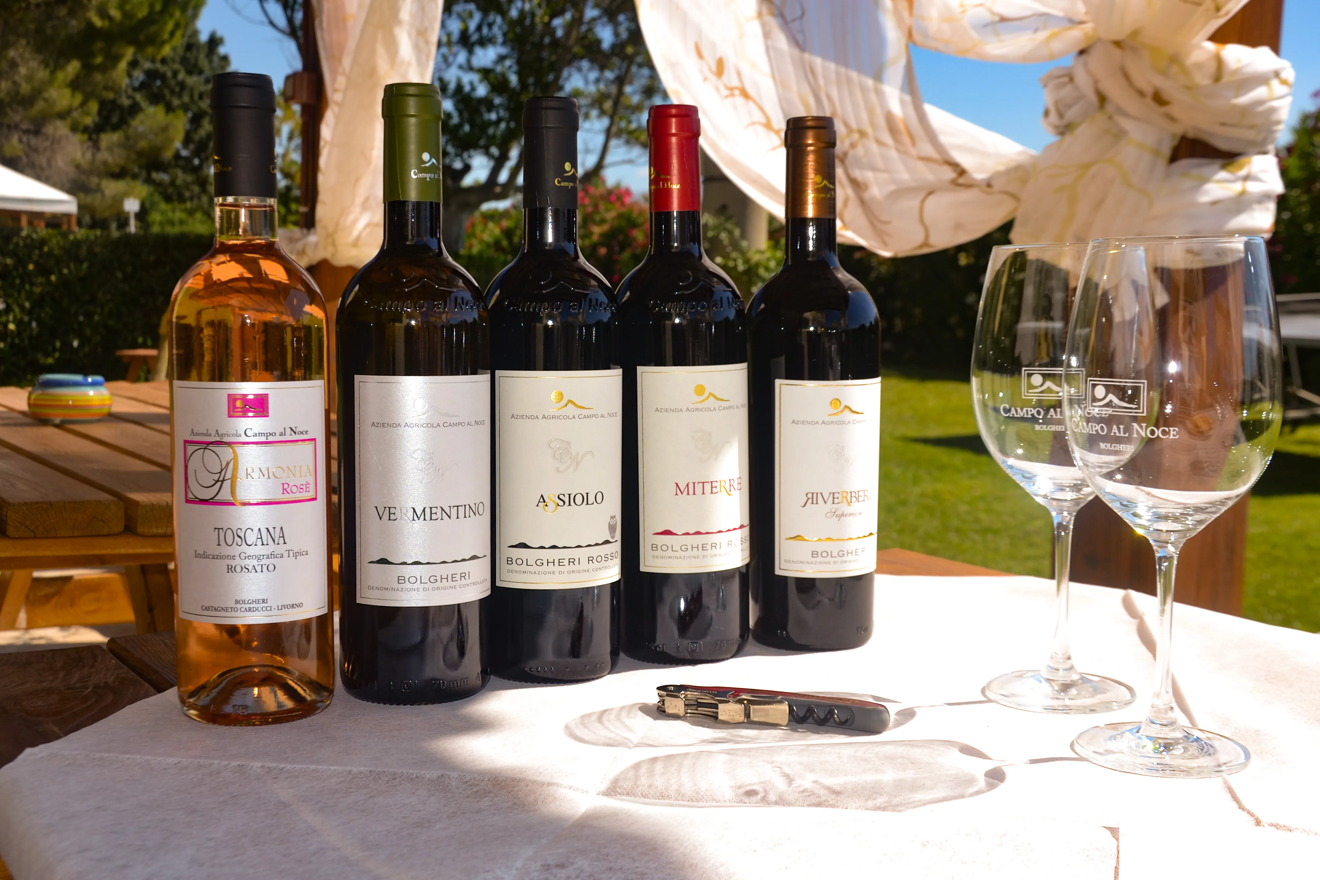 Agriturismo la Rondine Degustazione vini doc bolgheri